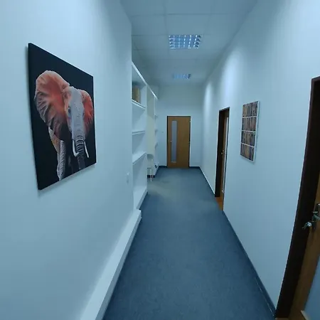 Apatrhostel Brno Albergue Brno